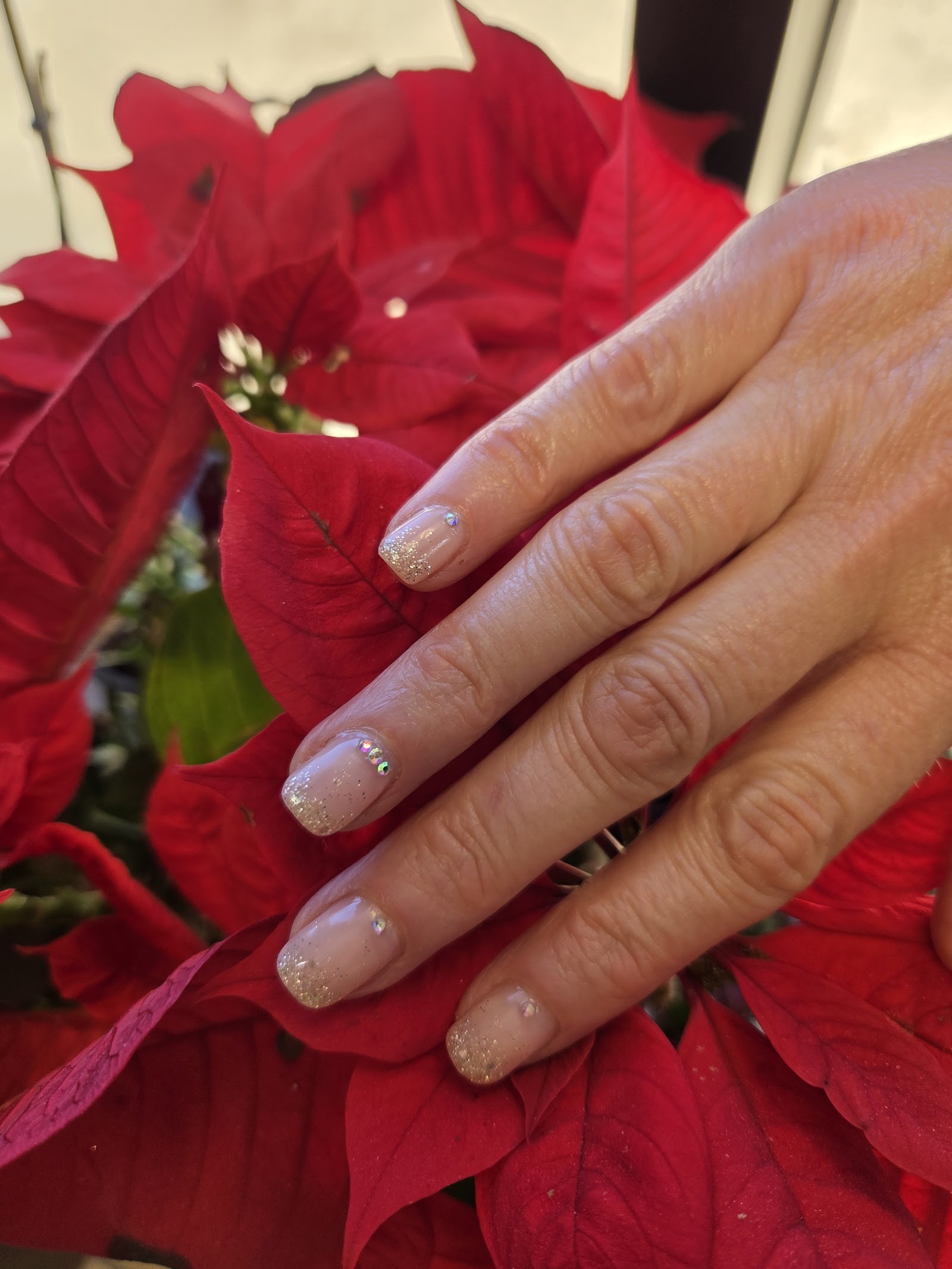 Faustine Nails logo
